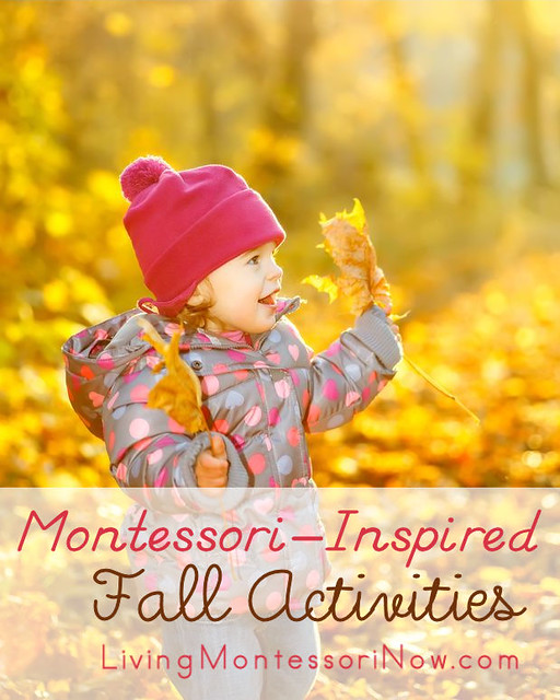 Montessori-Inspired Fall Activities
