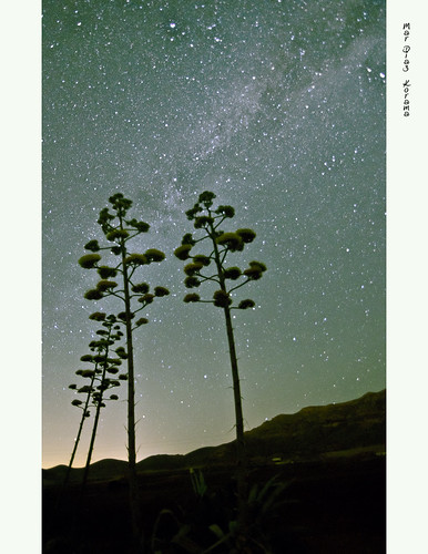 nightphotography landscape luna cielo estrellas nocturnas almeria cabodegata startrails vialáctea perspectivas lucesnocturnas fotografíanocturna horaazul tamron1024mm nikond7000 mardiazkorama franciscojperezgonzalez