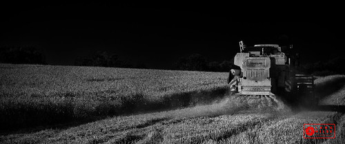 summer field wheat straw lars combineharvester newholland blackwhitephotos nex7sonynex7 hilsesony