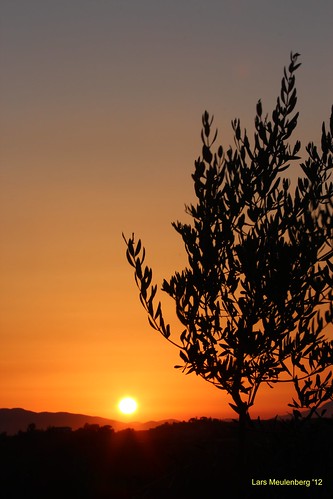 sunset sky italy orange sun tree sunrise san tuscany quentino