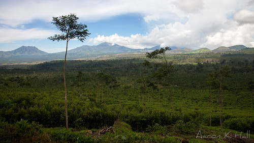 green coffee canon indonesia volcano java asia view crater valley kawaijen 5dmarkii 5dmkii