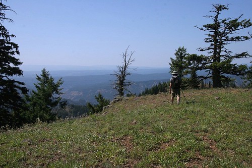 Ridge along Mt Misery Trail #3113