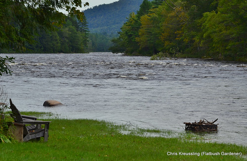 The flooded banks of the Hudson River at Riparius after Irene