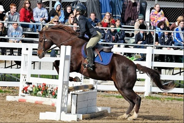 Equestrian 2009-10
