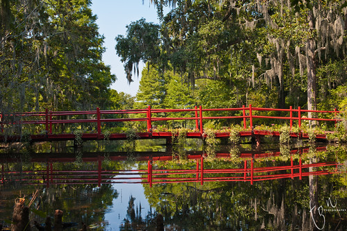 bridge red reflection garden landscape magnolia tonten