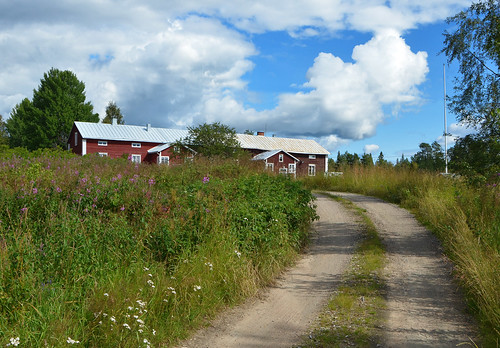 road summer finland landscape village