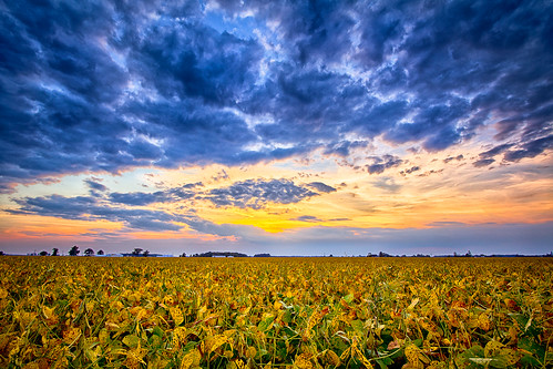 blue sunset sky nature field landscape day cloudy indiana marion hdr hdrphotography