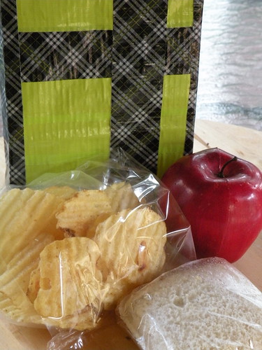 Mrs. Fields Secrets Lunchbag