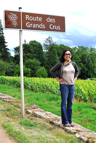 Route des Grands Crus - Burgundy