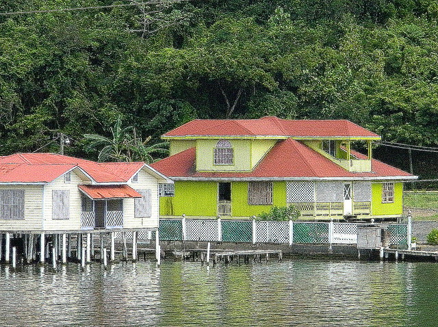 2011 HONDURAS-389 ROATAN ISLAND 洪都拉斯 罗阿坦岛
