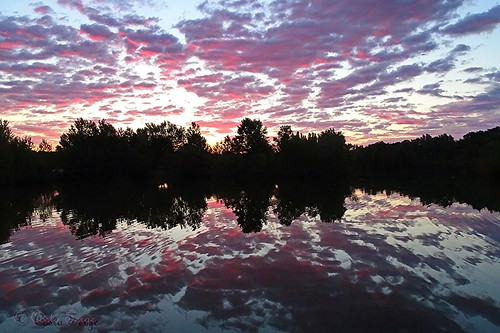 reflet reflection sunrise leverdesoleil aurore nuages clouds ciel sky silhouette nature sony eauwater laclake waterscape