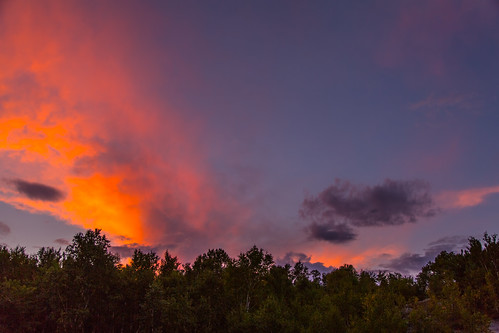 trees sunset ontario canada clouds sudbury coniston lakelaurentain