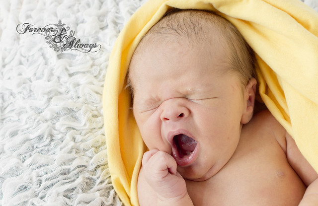 Big yawn newborn boy