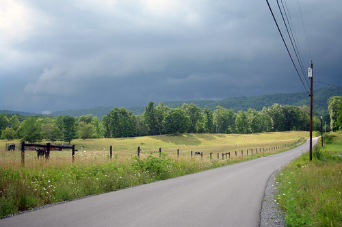 road street trees sky storm weather clouds rural landscape day cows farm country stormy farmland powerlines pasture