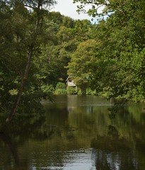 Winkworth Arboretum - The Lake and Boathouse