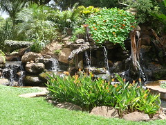 The water feature