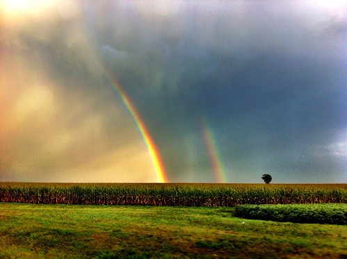 summer field rain clouds rainbow corn double