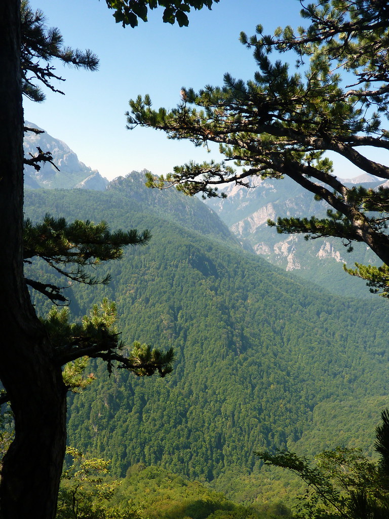 36 fascinating potos of Sutjeska National Park in Bosnia | BOOMSbeat