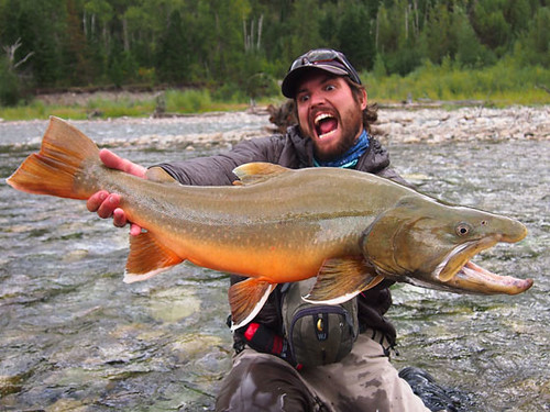 Bull Trout by nathan Leavitt