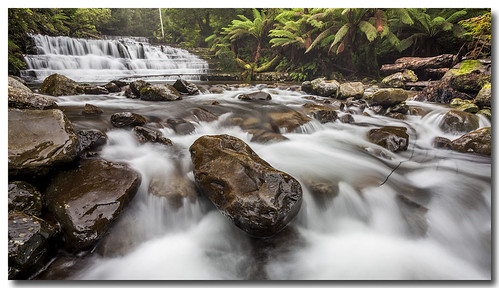 water canon landscape australia waterfalls tasmania 1740 liffeyfalls watermovement 5dmarkii