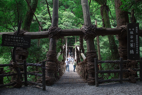 bridge nature japan architecture natur valley shikoku architektur 日本 brücke 自然 建築 tal schlucht 橋 渓谷 iya 四国 kazurabashi 谷 かずら橋 いやけい 祖谷渓 建築術 いやたに