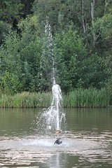 Fountain, High speed shot