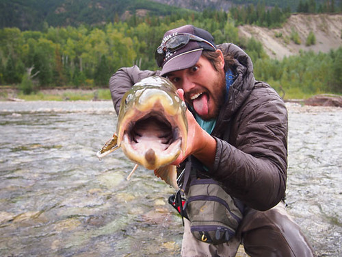 Bull Trout by Nathan Leavitt