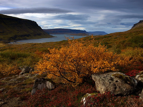 autumn sky fall colors clouds woodland landscape iceland bush colours september fjord 2012 hvalfjörður botn