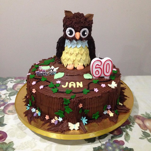 Genius Owl Cake for Jan Evanson by Nimfa Maravilla of Too-Nice-to-Slice