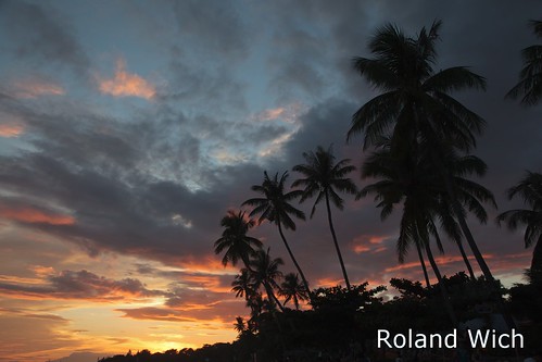 sunset beach palms asia south philippines palm east bohol southeast philippinen alona pangla