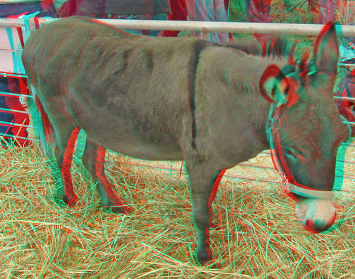 stereoscopic stereophoto 3d anaglyph iowa stereo spencer redcyan 3dimages 3dphoto 3dphotos 3dpictures stereopicture 2012claycountyfair