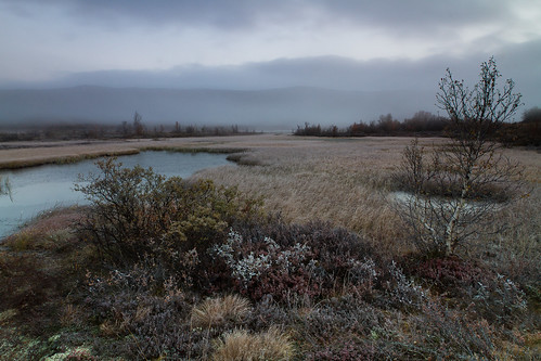 autumn fall water grass fog stream skies dovre marsh mountian høst dovrefjell myr fokstumyra