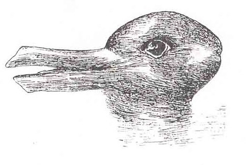 duck-rabbit