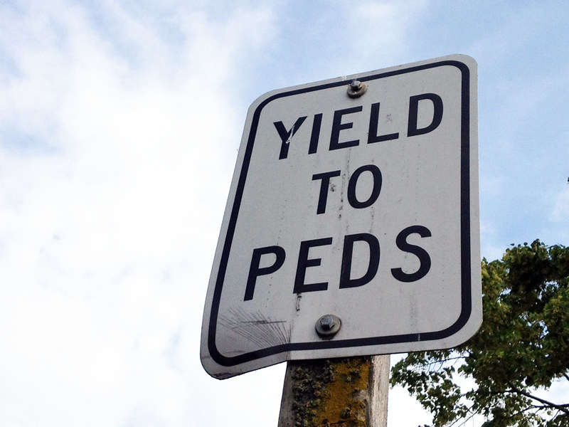 YIELD TO PEDS1