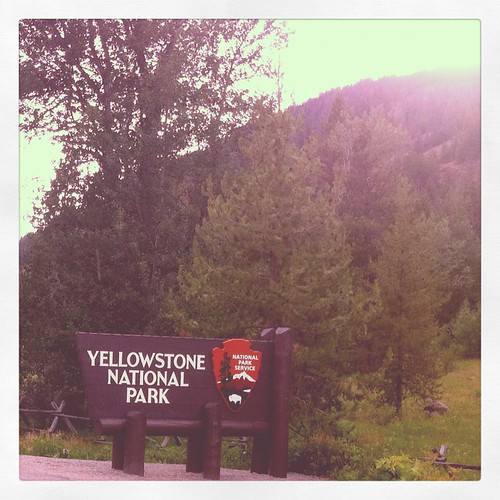 EV Day 4 Yellowstone
