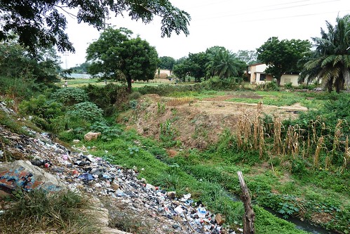 ghana horticulture sanitation urbanhorticulture horticultureurbaine hygiène
