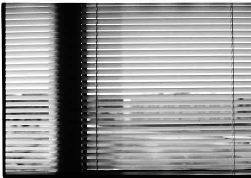 film window office blinds ilfordpanf50 canonf1