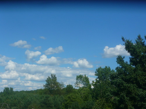 blue trees summer sky white west green clouds woods view belmont michigan august
