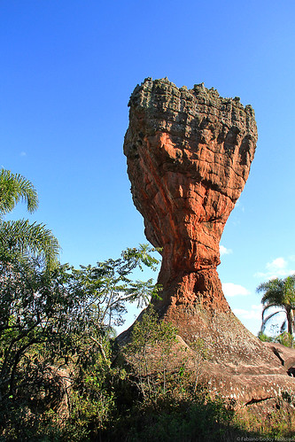 brazil paraná brasil rocks natural natureza esculturas pedras vilavelha pontagrossa rochas parqueestadualdevilavelha esculturasnaturais