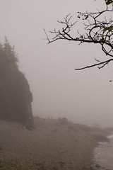 Cape Enrage out of the fog
