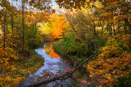 autumn trees usa sun color fall nature water leaves wisconsin river landscape photography stream glow image pentax wide sigma photograph 1020mm hdr 2012 k5 photomatix sigma1020mmf456exdc kohlbauer hardpancom marckohlbauer