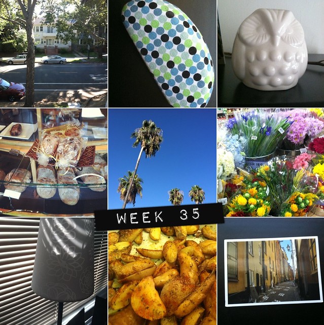 2012 in pictures: week 35