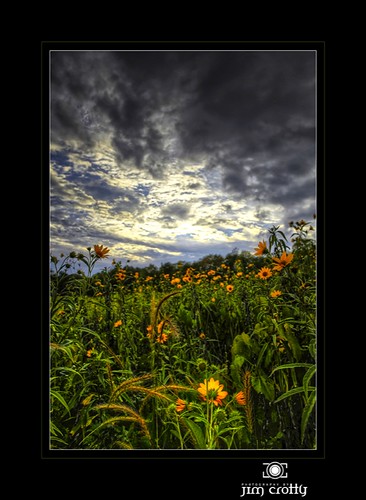 sunset ohio nature beauty landscape photography photo photographer meadow peaceful calm sugarcreek wildflowers dayton tallgrass latesummer jimcrotty fiveriversmetroparks