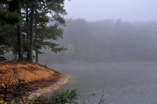 mist lake fog sweetwatercreekstatepark