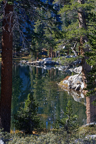 park national sequoia