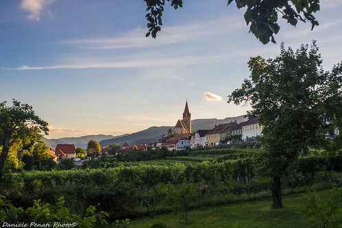 wachau sunset wine austria