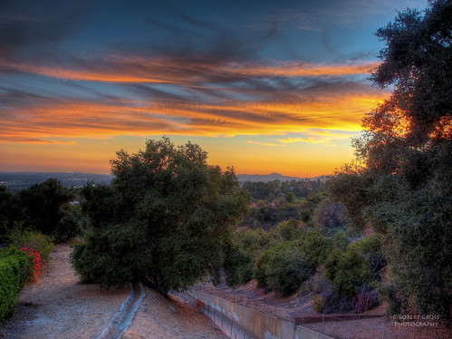california trees sunset sky clouds landscape losangeles arboles nubes hdr anochecer omd puestadelsol 1250mmf3563mzuiko