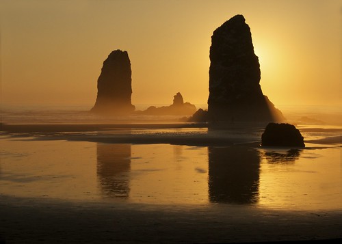 sunset beach oregon coast rocks oregoncoast cannonbeach sunrisesunsetanythingsun sunrisesandsunsets sunrisessunsets beacheslandscapes onlylandscapeandsunset justonerule afsdxvrzoomnikkor18200mmf3556gifedii planetearthsunrisesunsets planetearthreflections beachescoasts landscapeseascapeskyskape roadscholaroregoncoastwithmasonmarsh oregoncoastdigitalphotography