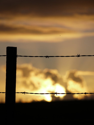sunset fence