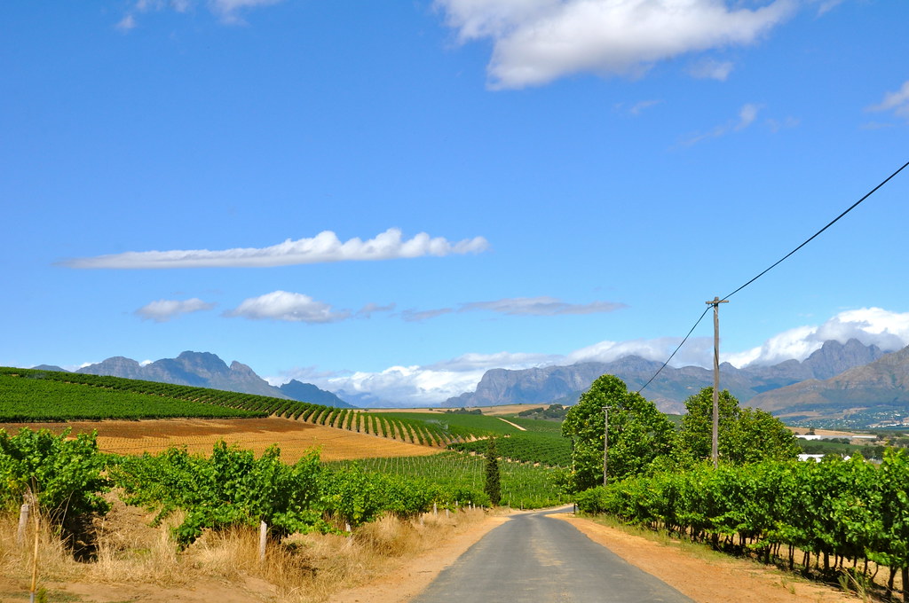 South Africa Winelands